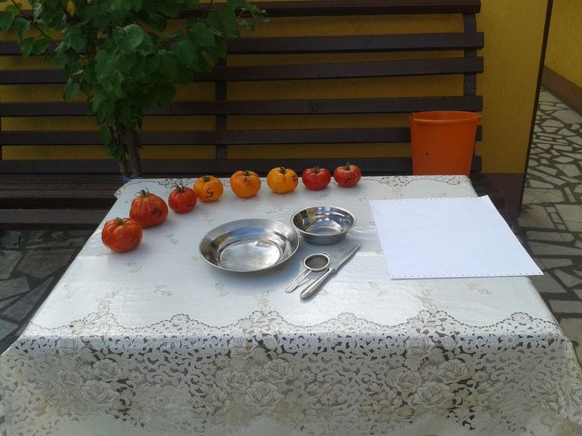  - Colectare seminte 12 august 2016