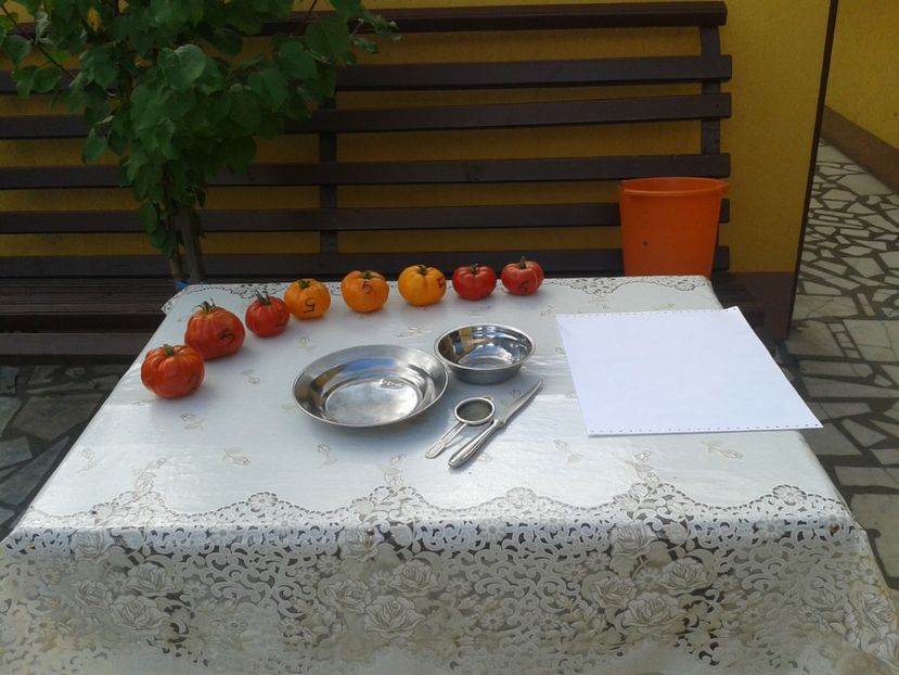  - Colectare seminte 12 august 2016