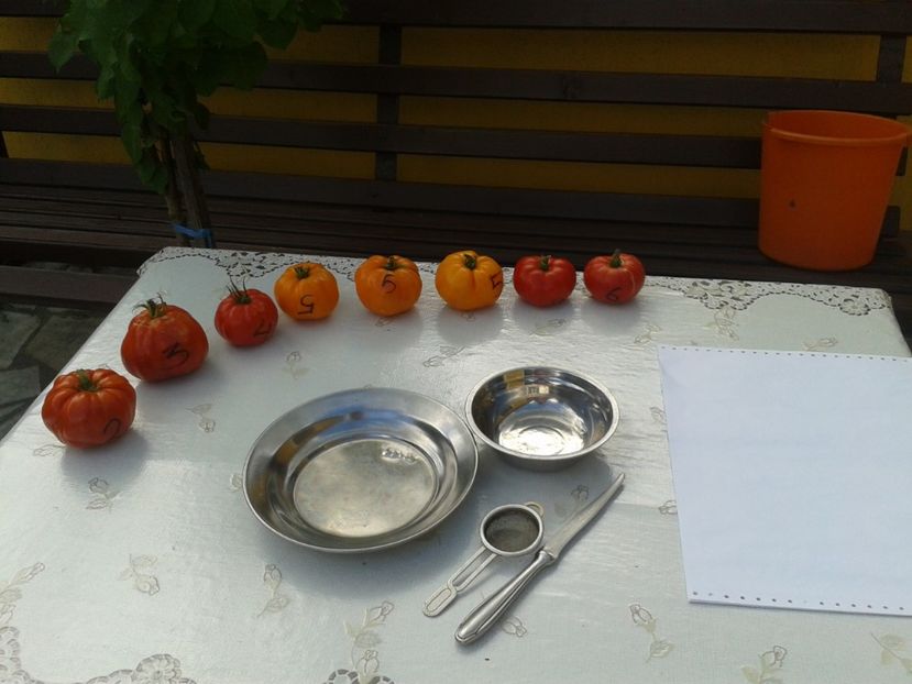  - Colectare seminte 12 august 2016