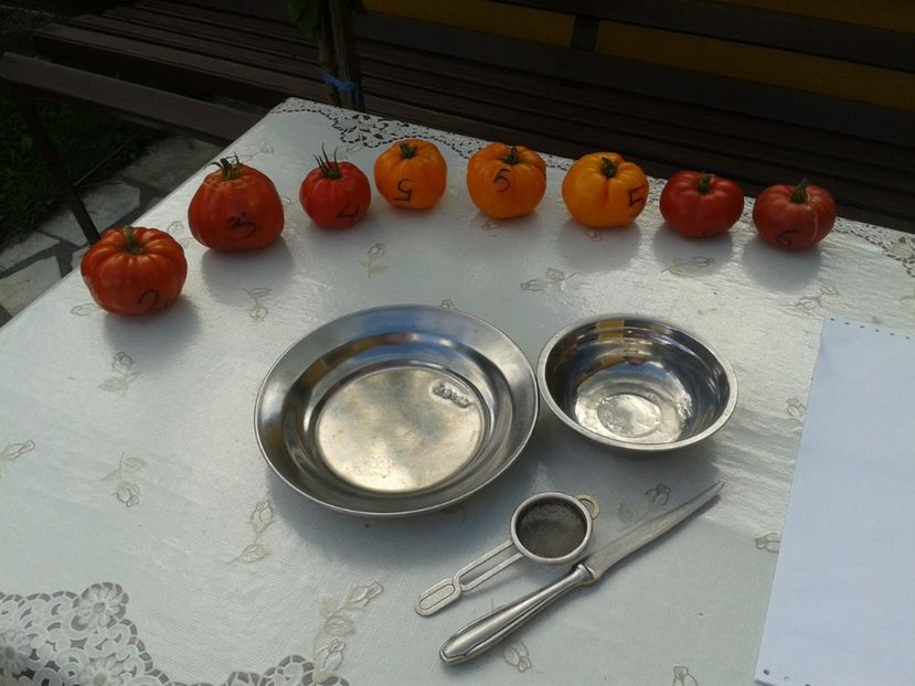  - Colectare seminte 12 august 2016