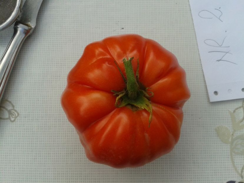  - Colectare seminte 12 august 2016