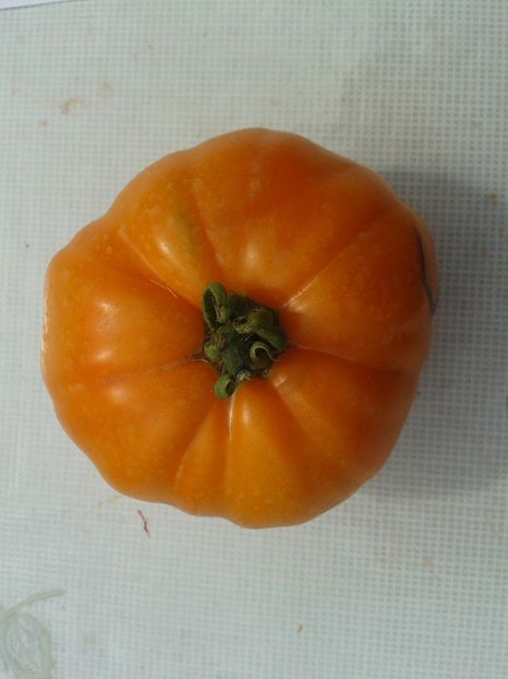  - Colectare seminte 12 august 2016