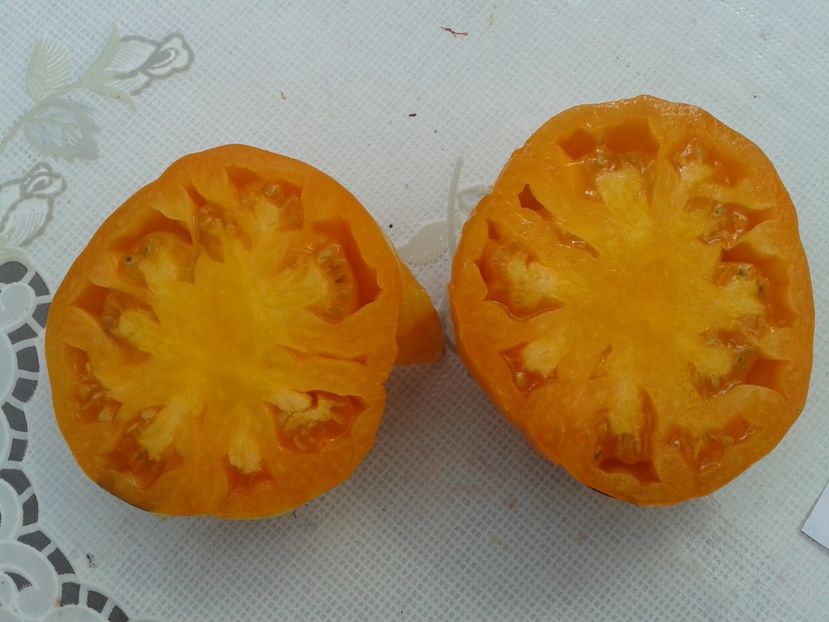  - Colectare seminte 12 august 2016