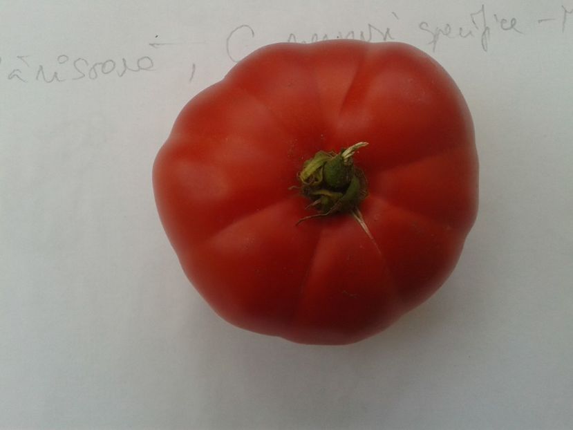  - Colectare seminte 12 august 2016