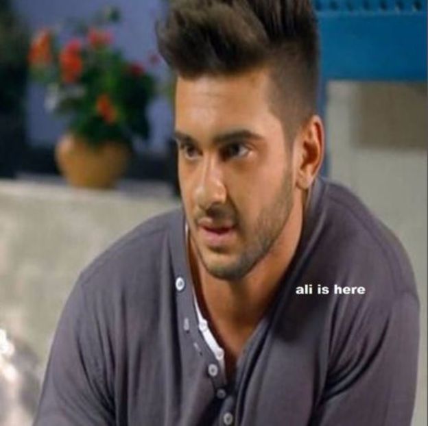 103500422_EANPVOX3 - 01 andrei - pmdm