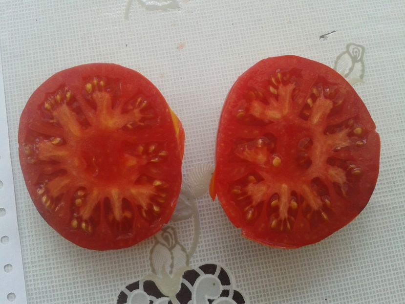  - Colectare seminte 12 august 2016