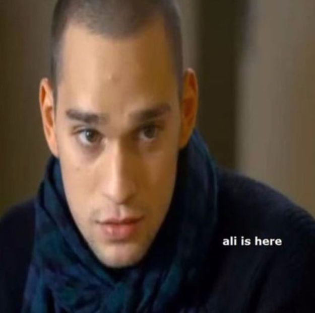 103497745_XHGUWQN3 - 01 vlad - pmdm