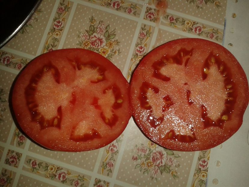  - Colectare seminte 16 august 2016