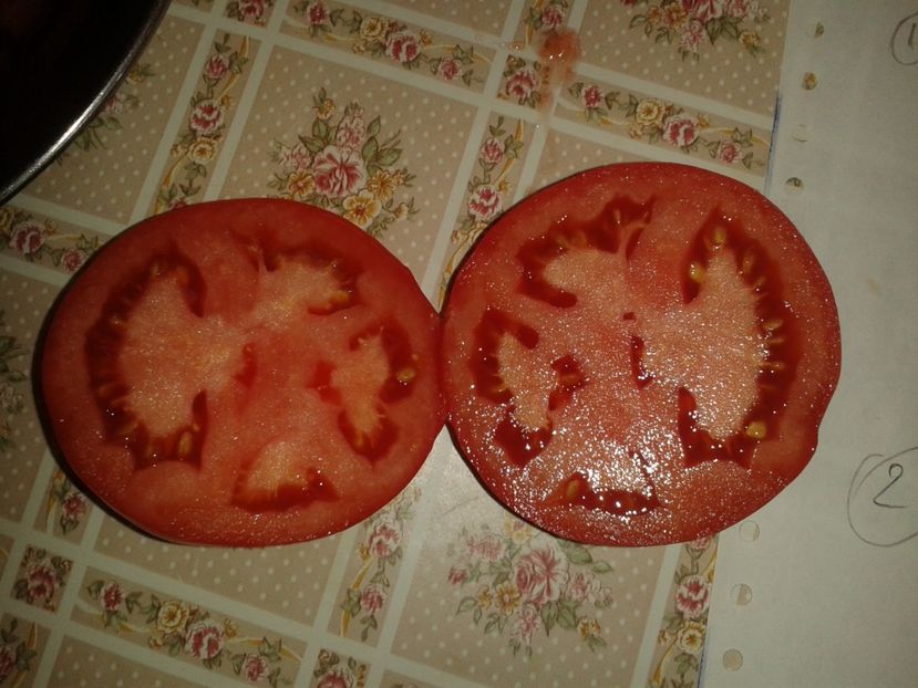  - Colectare seminte 16 august 2016