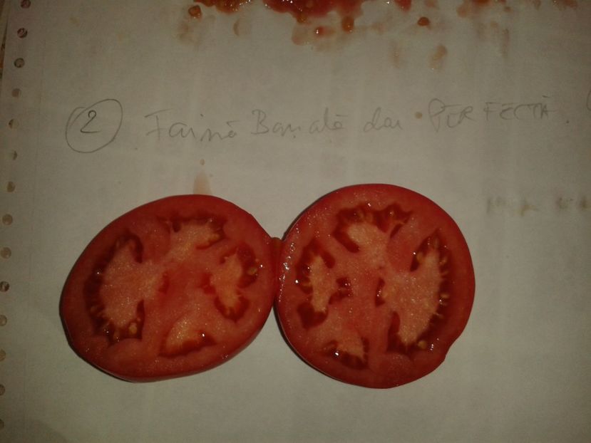  - Colectare seminte 16 august 2016