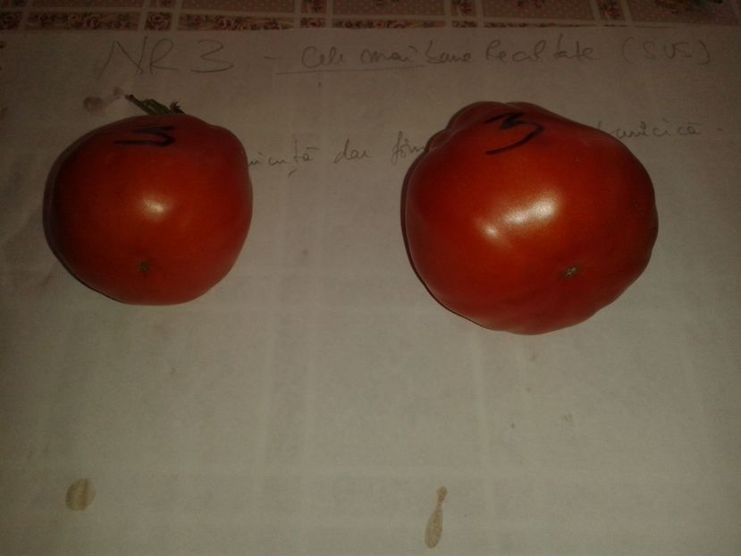  - Colectare seminte 16 august 2016