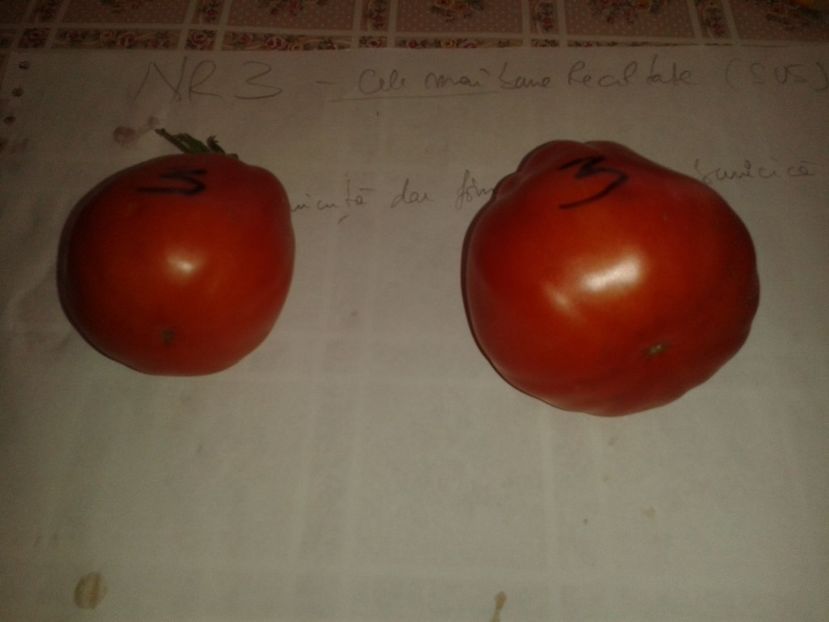  - Colectare seminte 16 august 2016