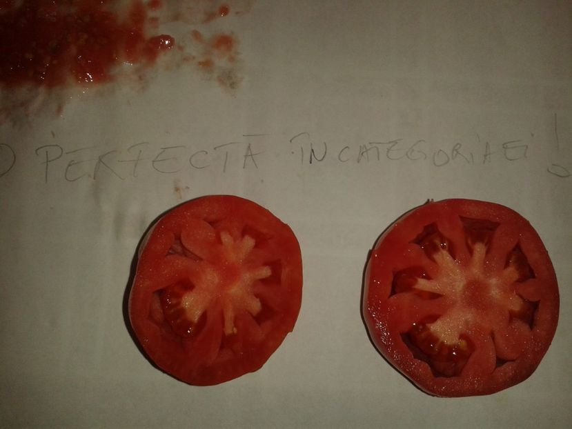  - Colectare seminte 16 august 2016