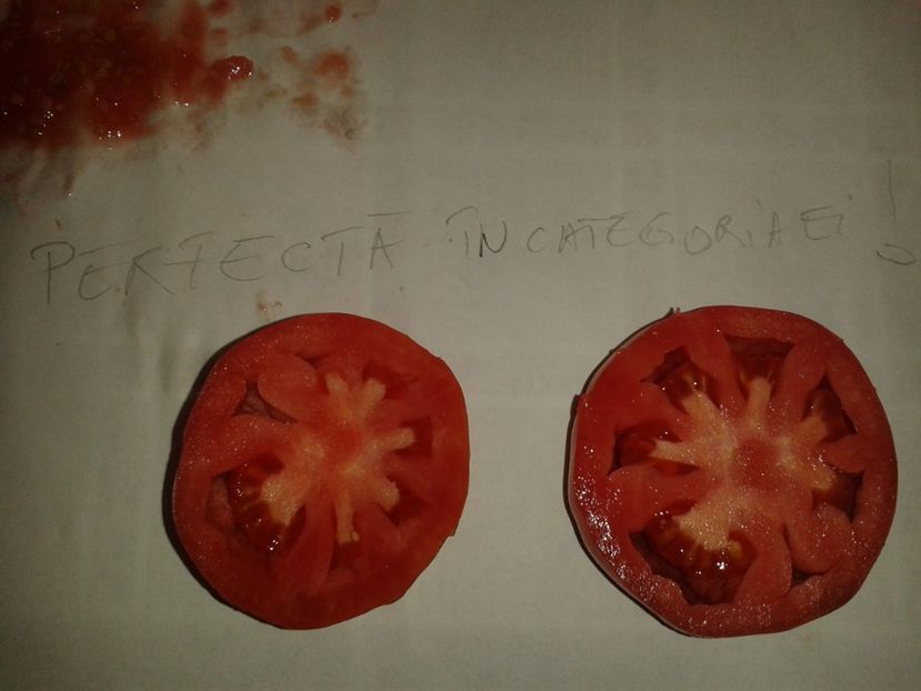  - Colectare seminte 16 august 2016