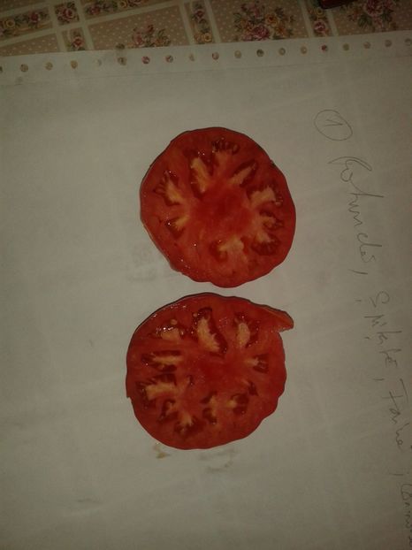  - Colectare seminte 16 august 2016