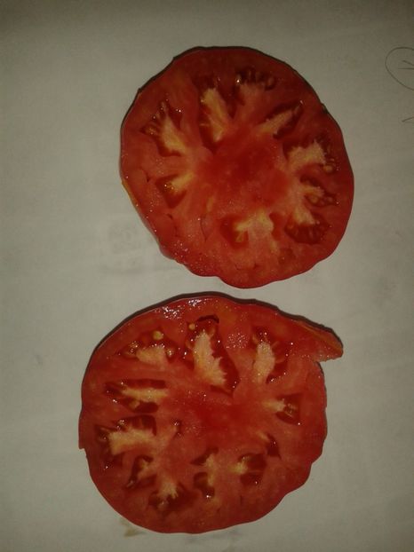  - Colectare seminte 16 august 2016