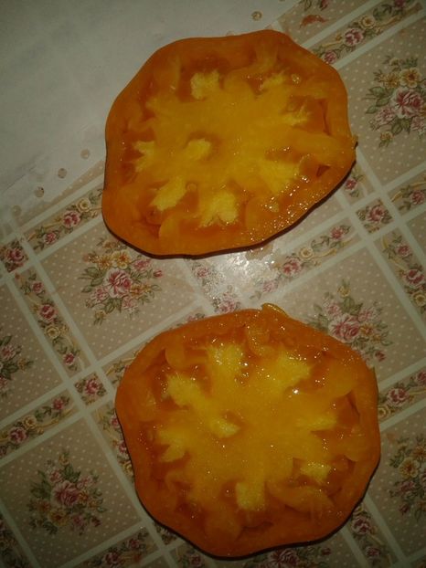  - Colectare seminte 16 august 2016