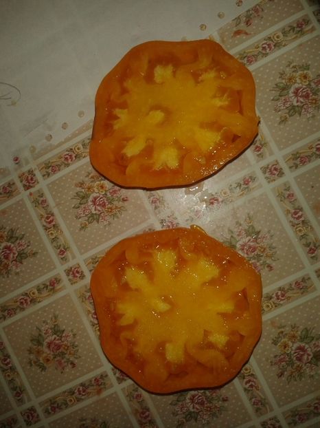  - Colectare seminte 16 august 2016