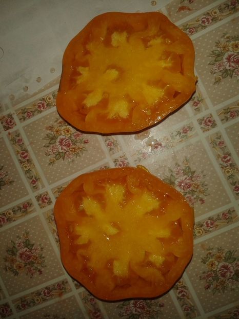  - Colectare seminte 16 august 2016