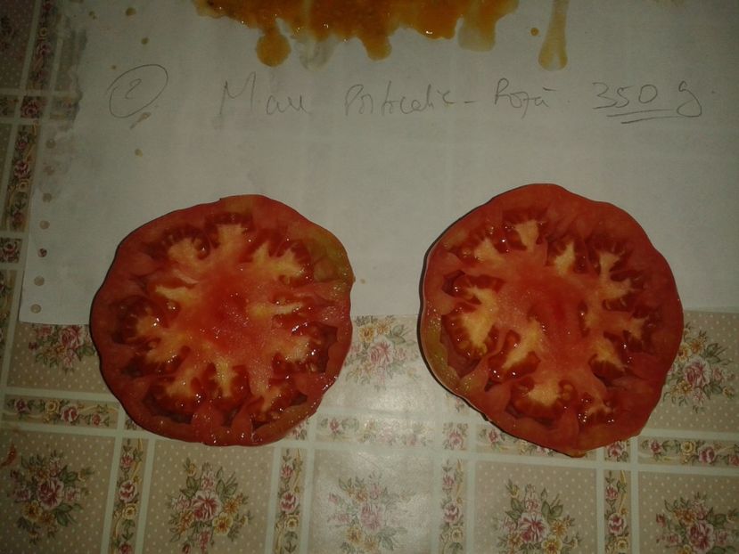  - Colectare seminte 16 august 2016