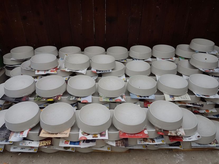  - vanzare CUIBARE ipsos