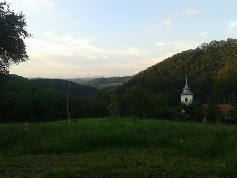  - Mere poganoace de vara de la Bretelin