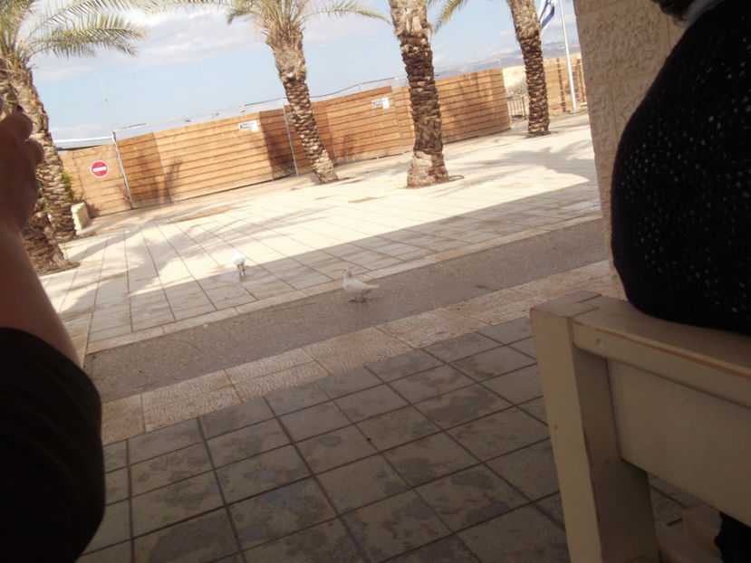 tara sfanta 451 - a treia zi de pelerinaj