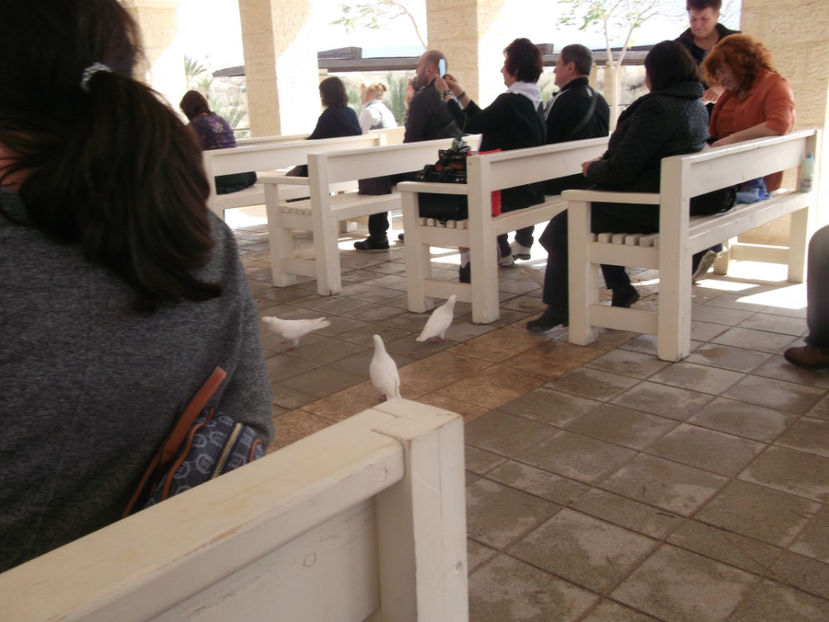 tara sfanta 452 - a treia zi de pelerinaj