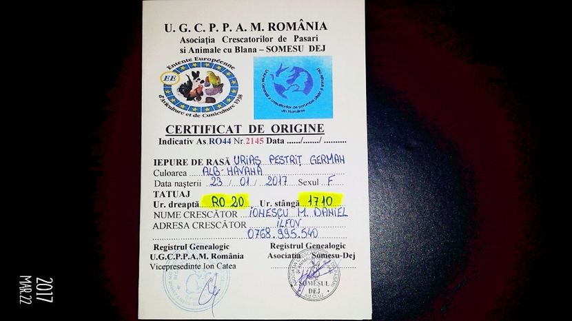 Certificat de origine - 03 Femela 3 RO20 1710