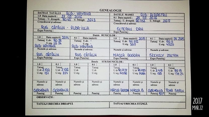 Genealogie - 03 Femela 3 RO20 1710