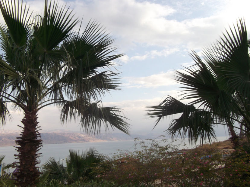 tara sfanta 456 - a treia zi de pelerinaj