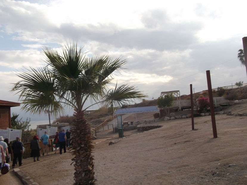 tara sfanta 460 - a treia zi de pelerinaj