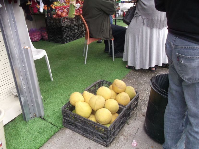 fructe multe si gustoase - a treia zi de pelerinaj
