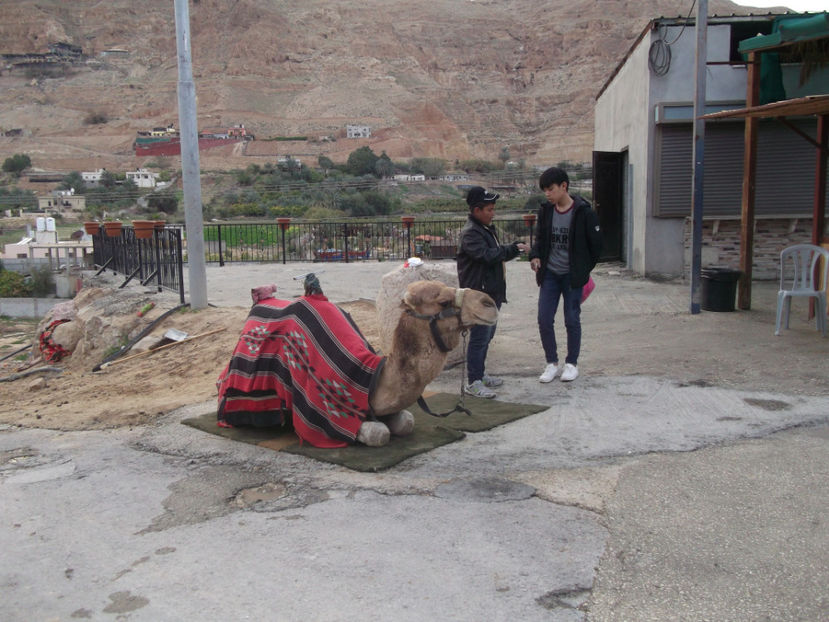 tara sfanta 501 - a treia zi de pelerinaj