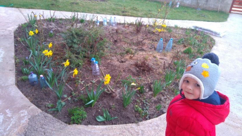 - AA - In  gradina mea