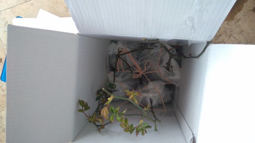 Pregatiti de plecare - Diverse