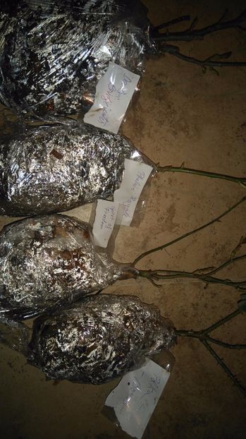 Pregatiti de plecare - Diverse