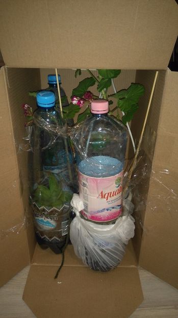 Pregatite de plecare - Diverse