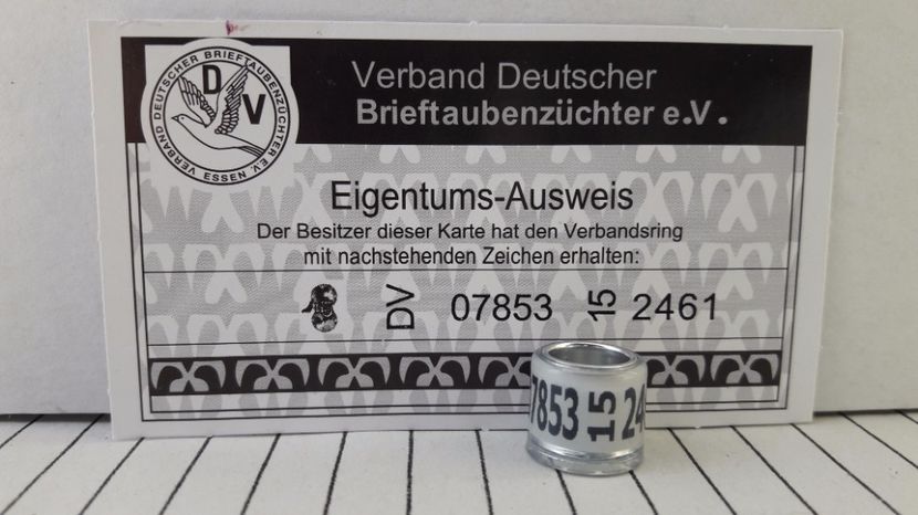 DV 15 FCI - GERMANIA - DV