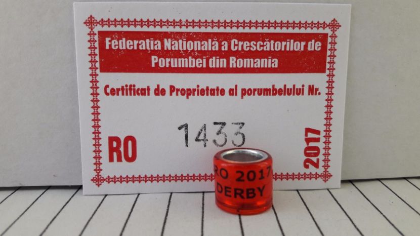 RO 2017 DERBY - RO - DERBY