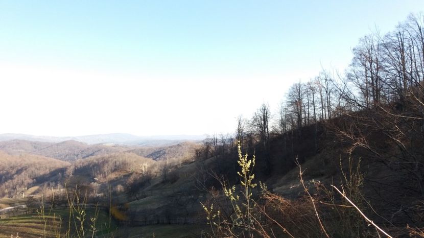  - Satul Hotaru Satul bunicilor