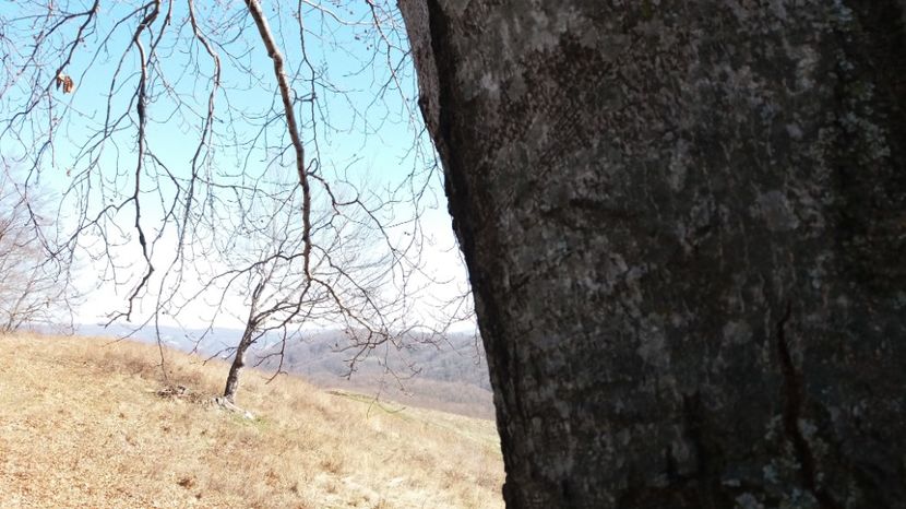  - Satul Hotaru Satul bunicilor