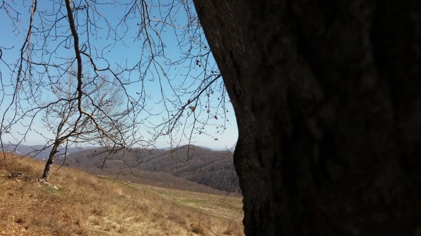  - Satul Hotaru Satul bunicilor