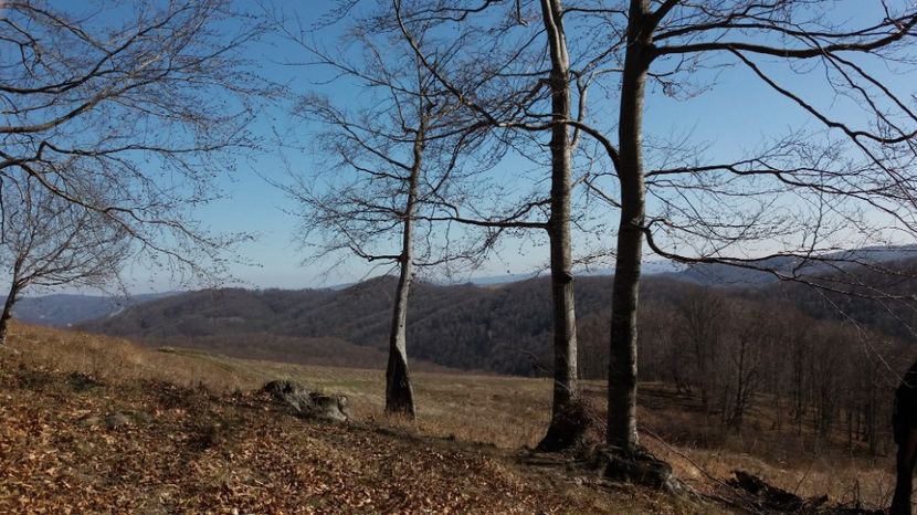  - Satul Hotaru Satul bunicilor