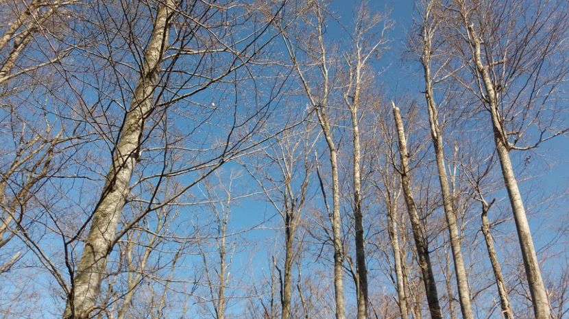  - Satul Hotaru Satul bunicilor