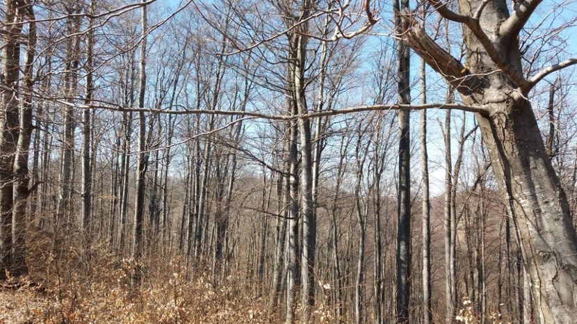  - Satul Hotaru Satul bunicilor