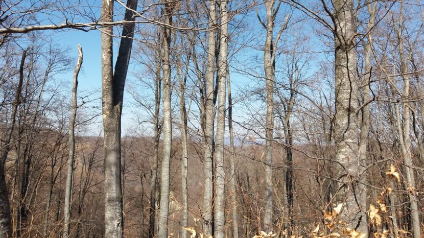  - Satul Hotaru Satul bunicilor