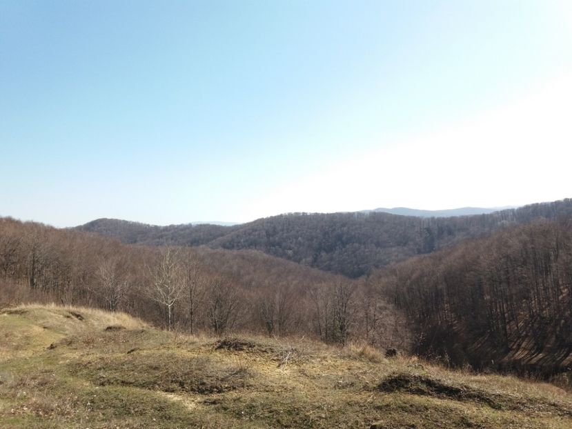  - Satul Hotaru Satul bunicilor