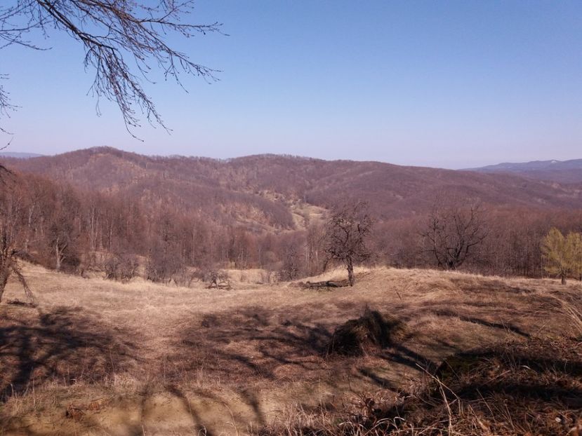  - Satul Hotaru Satul bunicilor