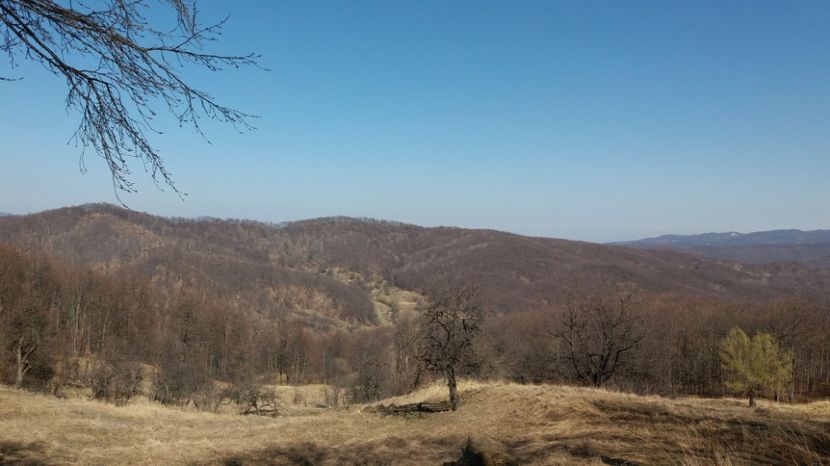 IMG-20170323-WA0007 - Satul Hotaru Satul bunicilor